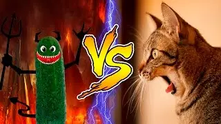 Cats scared of Cucumbers Compilation - Part 2 - Cats Vs Cucumbers - Funny Cats 2016
