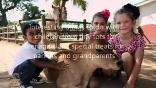 Family Fun