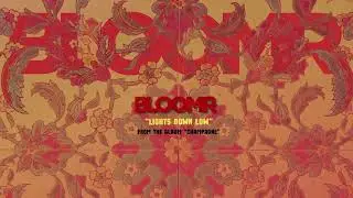 BLOOMR - Lights Down Low (Official Visualizer)