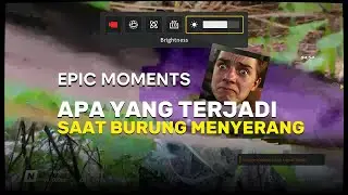 Epic Moments, Drone Diserang Burung?Panik gak⁉️🤪#drone #healing #views #epic