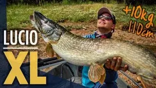 PESCA DE LUCIO GIGANTE: +10 kg, +110 cm/ MONSTER PIKE +22 lbs, +110 cm
