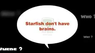Just Facts | 13 September 2013