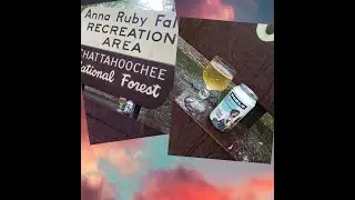 Noble Cider The Spice Merchant