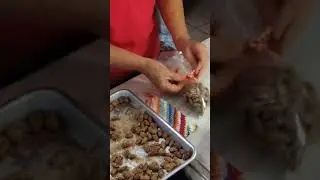 Candied Almonds #37 B,L,&D cooking  