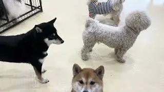 2026.1.15フリータイムの様子