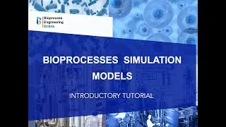 Bioprocesses simulation models