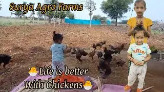 Nati Koli feefing #Natikolifarming   @gyaneshhavaldar why