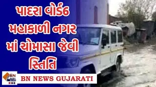 પાદરા વોર્ડ6 મહાકાળી નગર માં ચોમાસા જેવી સ્તિતિ