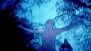 Robert Niko - Attraction