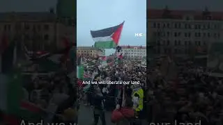 Pro-Palestine protesters in Malmo sing Swedish band Kofia&rsquo;s pro-Palestine song