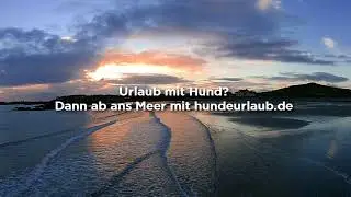 Meer geht immer - Urlaub mit Hund am Meer - Hundeurlaub an der Ostsee & Nordsee mit Hund
