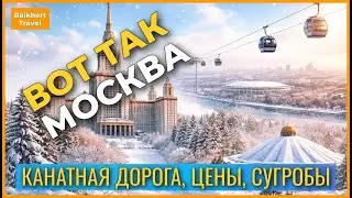Засыпало снегом: пешком от МГУ через Воробьёвы горы | Зимняя Москва 2026