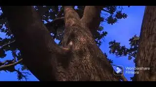 102 Dalmatians opening but with Great Oaks logo