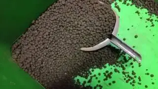 Sewage Sludge (Biosolids) pelletising Part 7