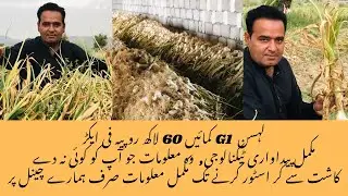 G1 lasan lagae lakho kamae