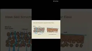 Water Flows Control by Soil Structure|| Agriculture||#shorts #youtubeshorts #trending