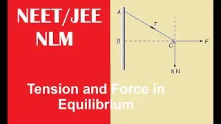 NEET/JEE 2026 | How to Find Tension and Force in Equilibrium | Physics Problem Solved Step-by-Step