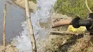 Watering #whitehouseinjungle #youtube #youtuber #videoviral #video #ytviral #viral #camping #yt 