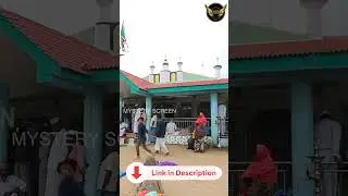 தர்கா உள்ளிருக்கும் மகானின் சமாதி | மற்ற மதத்தவர்கள் வழிபடும் ஏர்வாடி தர்கா | Erwadi Dargah History