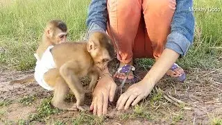 Wow Smart Dodo Help Mom Digging Land, Dodo Mori  And Mom Very Happy Out Door