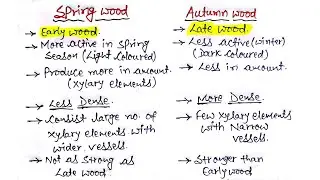 Easy Way to Learn SPRING Wood (Early Wood) & AUTUMN Wood (Late Wood)..||NCERT||..🔥🔥