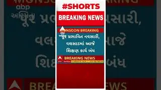 Navsari Valsad School Closed | નવસારી-વલસાડમાં પૂરની સ્થિતિ, શિક્ષણકાર્ય બંધ