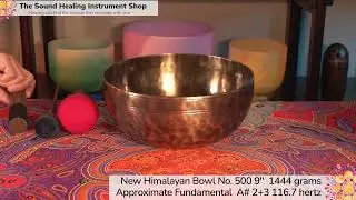 Himalayan Singing Bowl no 500 A#2+3 116 7 hertz