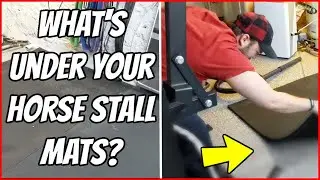 WARNING: GRAPHIC - What's Under Your Stall Mats 😨