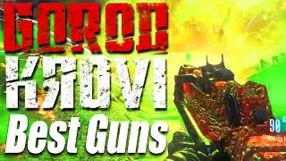 TOP 5 Guns To Use on 