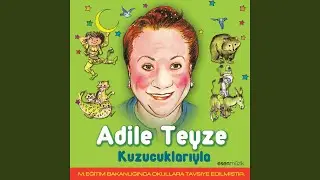 Hasta Fok Balığı
