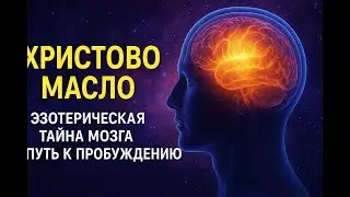 Христово масло: эзотерическая тайна мозга и путь к пробуждению