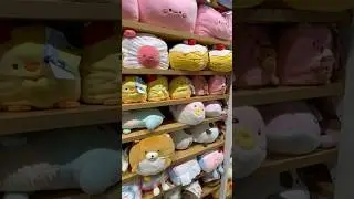 What&rsquo;s Inside Miniso Utrecht? Surprising Finds!