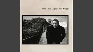 Fade Into Light