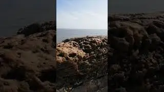 Diu Fortress: Awesome Tourist Destination in Diu, India