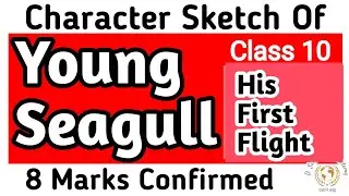 Character Sketch Of The Young Seagull | Young Seagull character sketch | His First Flight | Class 10