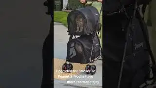 New CAT Stroller with more room