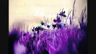 ALMIGHTYWIND COM Bride Without Spot or Wrinkle, WRATH OF GOD COMING SOON! Prophecy 13