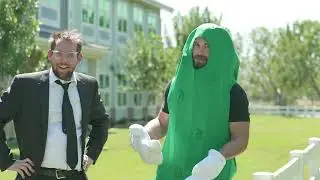 Design Pickle - Off the Fence Variation 1