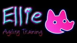Ellie's Agility Training Class