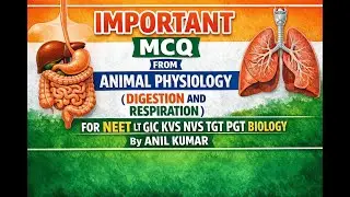 IMPORTANT MCQs FROM ANIMAL PHYSIOLOGY (DIGESTION AND RESPIRATION) FOR UPCOMING BIOLOGY EXAMS 