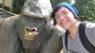 Brookfield Zoo: Brick Safari
