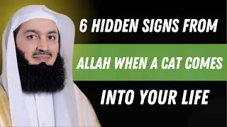 6 Hidden Signs from Allah When a Cat Comes Into Your Life | Mufti Menk&rsquo;s Life-Changing Message