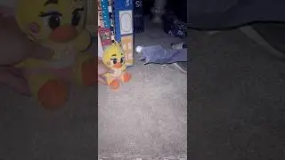 FNAF Ricky the Sock Puppet finds Toy Chica in the FNAF Backrooms and gets attacked.  #fnaf #toychica