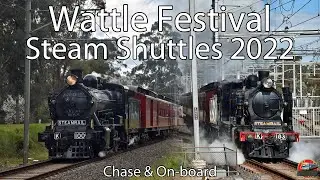 Black & Blue Ks to Hurstbridge | Steamrail - Hurstbridge Wattle Festival Shuttles 2022 | K100 & K183