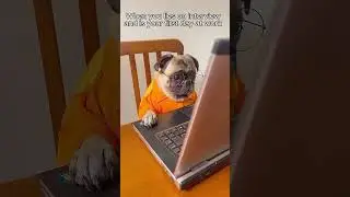 First Day at Work: The Truth Behind My Interview Lies 🤥