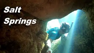 Poking my GoPro into the Floridan Aquifer - Salt Springs