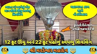 Biggest Shivaling of Gujarat | Mardeshwar Mahadev Mandir, Palikhanda, Shehera, Gujarat | Panchmahal