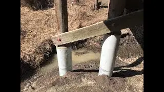 Bridge Wooden Pile Repair