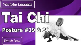 Cheng Man Ching 37 Form Posture 19 & 20