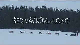 Šediváčkův long 2025